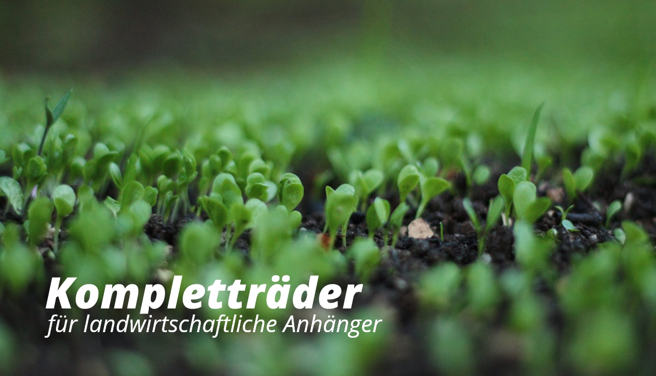 Komplettrder